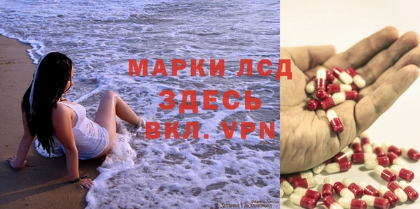 твердый Богданович
