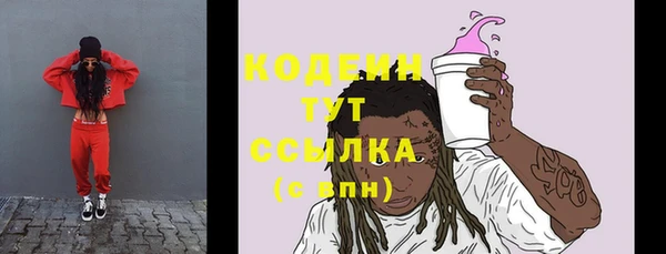 прущий лед Богородицк