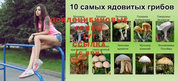 прущий лед Богородицк