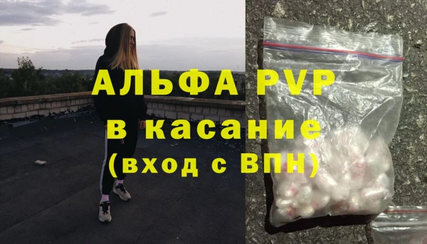 твердый Богданович