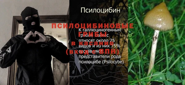 прущий лед Богородицк
