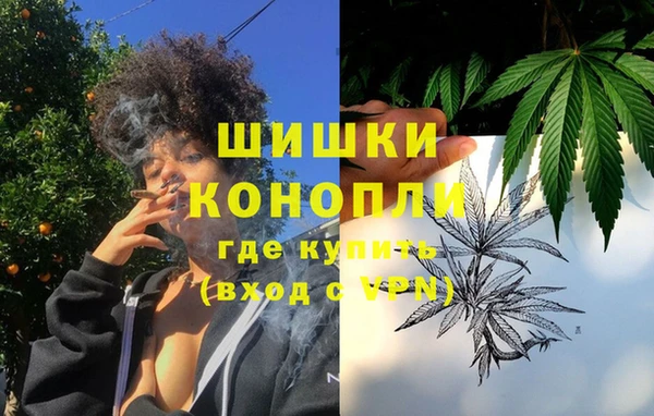 твердый Богданович
