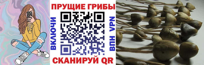 Псилоцибиновые грибы ЛСД  Дятьково 